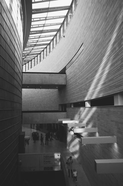 Black and white interior of a modern building with curved walls and skylight.