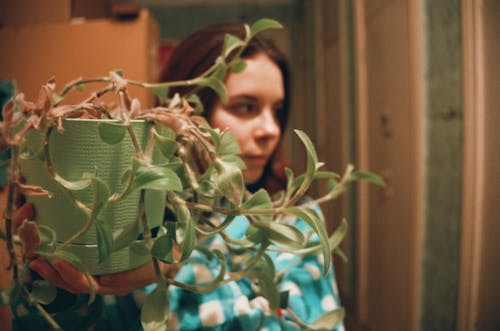 Woman Behind A Pot Plant