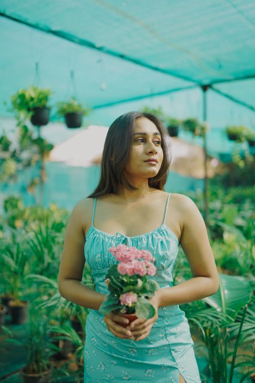 Free A woman in a blue dress holds a potted plant in a lush greenhouse environment, surrounded by greenery. Stock Photo