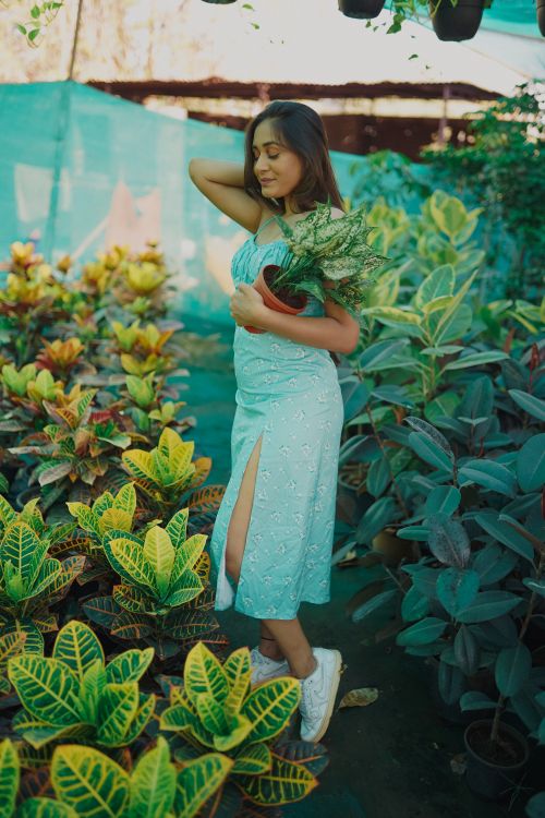 Free Elegant woman in a light green dress holding plants in a vibrant greenhouse environment. Stock Photo
