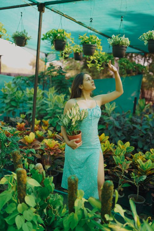 Free A young woman in a floral dress holding a potted plant in a lush greenhouse. Stock Photo