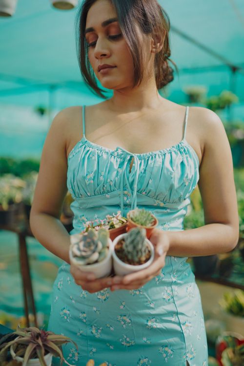 Free Fashionable woman in turquoise dress showcasing small succulents in an indoor garden. Stock Photo