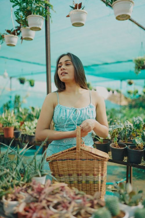 Free A young woman with a basket explores a vibrant plant nursery, embracing nature's beauty. Stock Photo