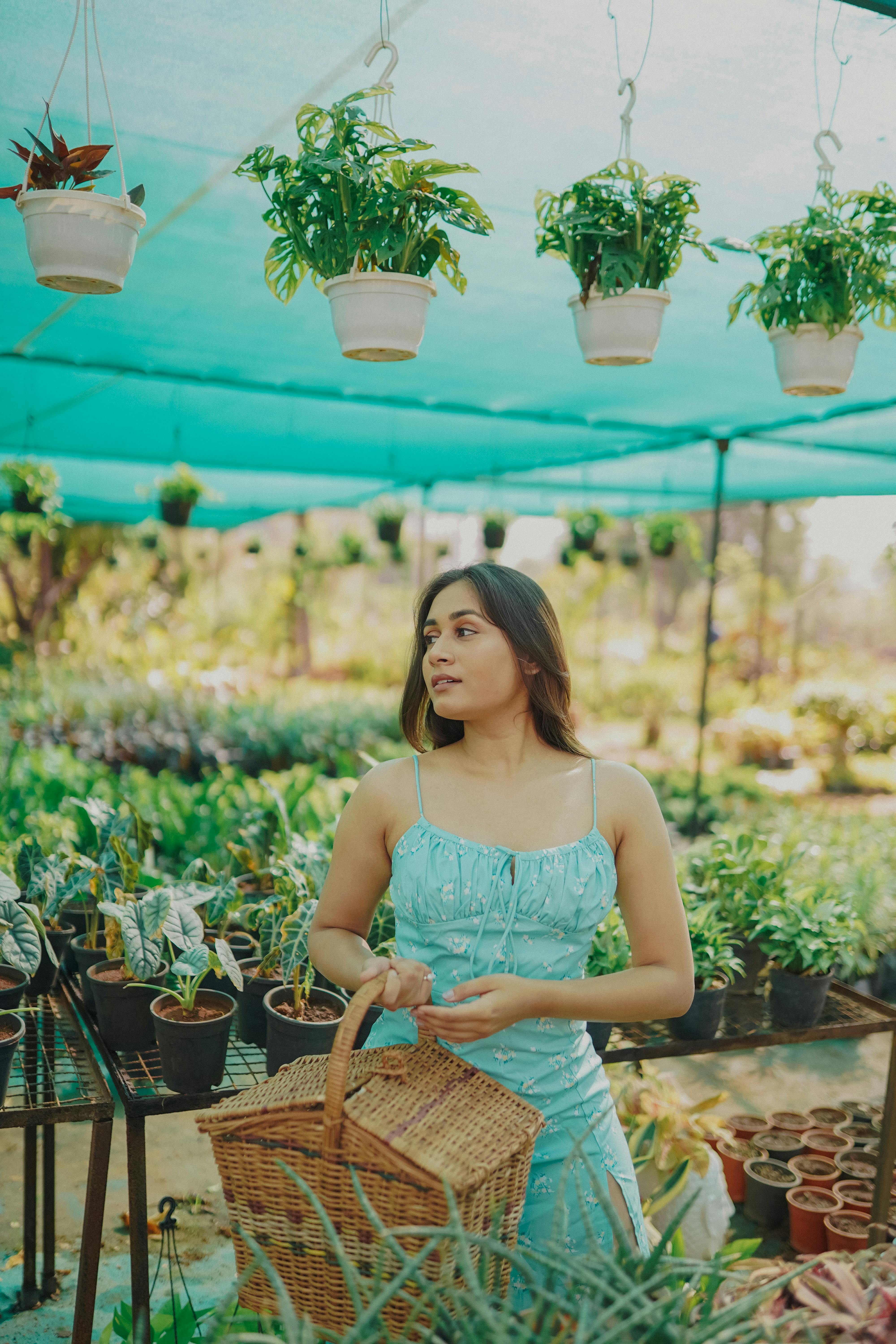 A woman in a blue dress carries a basket in an outdoor plant nursery, surrounded by greenery.