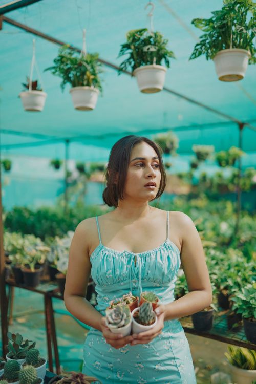 Free A woman in a green dress holds succulents surrounded by lush greenery in a plant nursery. Stock Photo