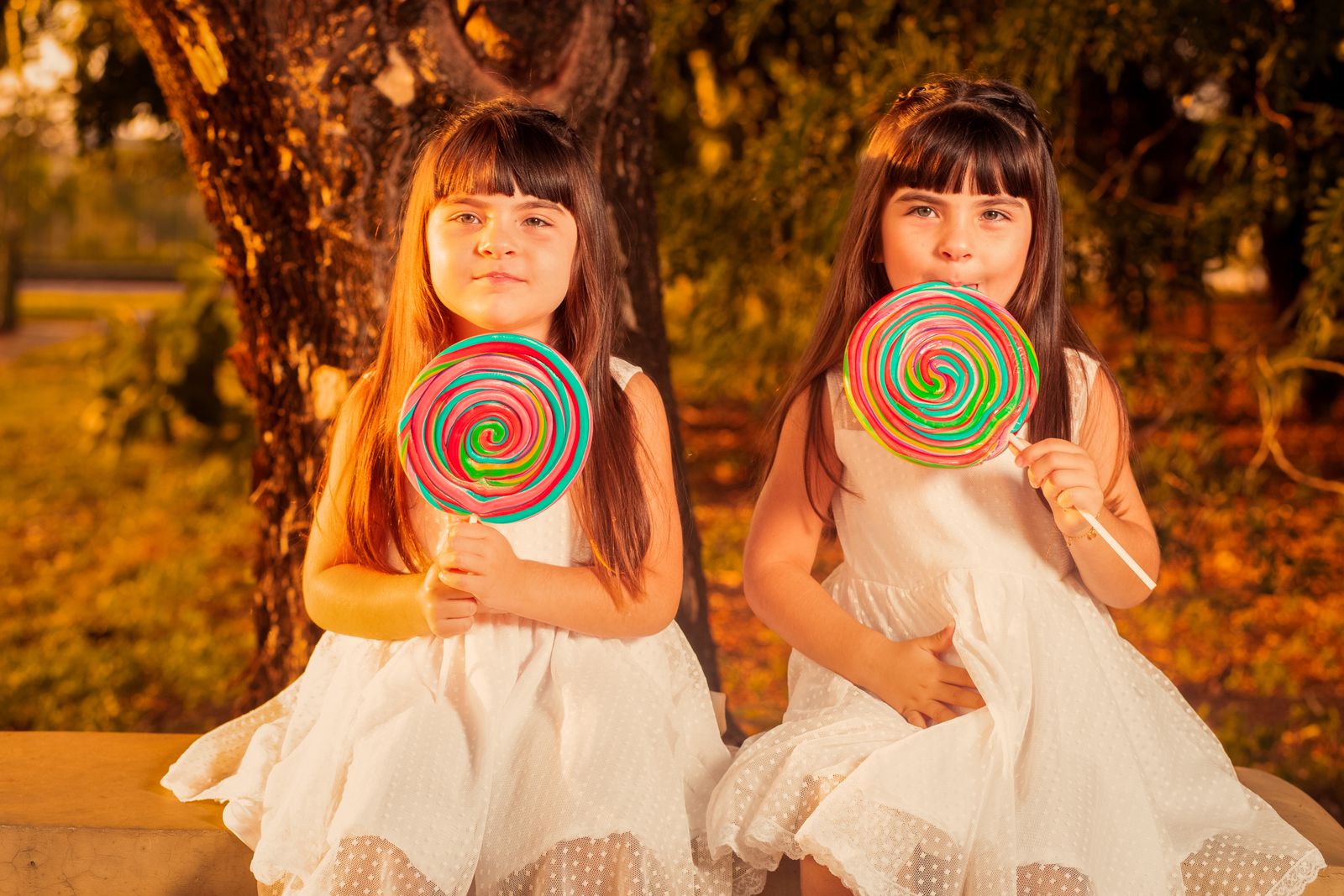 Restaurant & Hotel Candy Wholesale: Complete Sourcing & Merchandising Guide