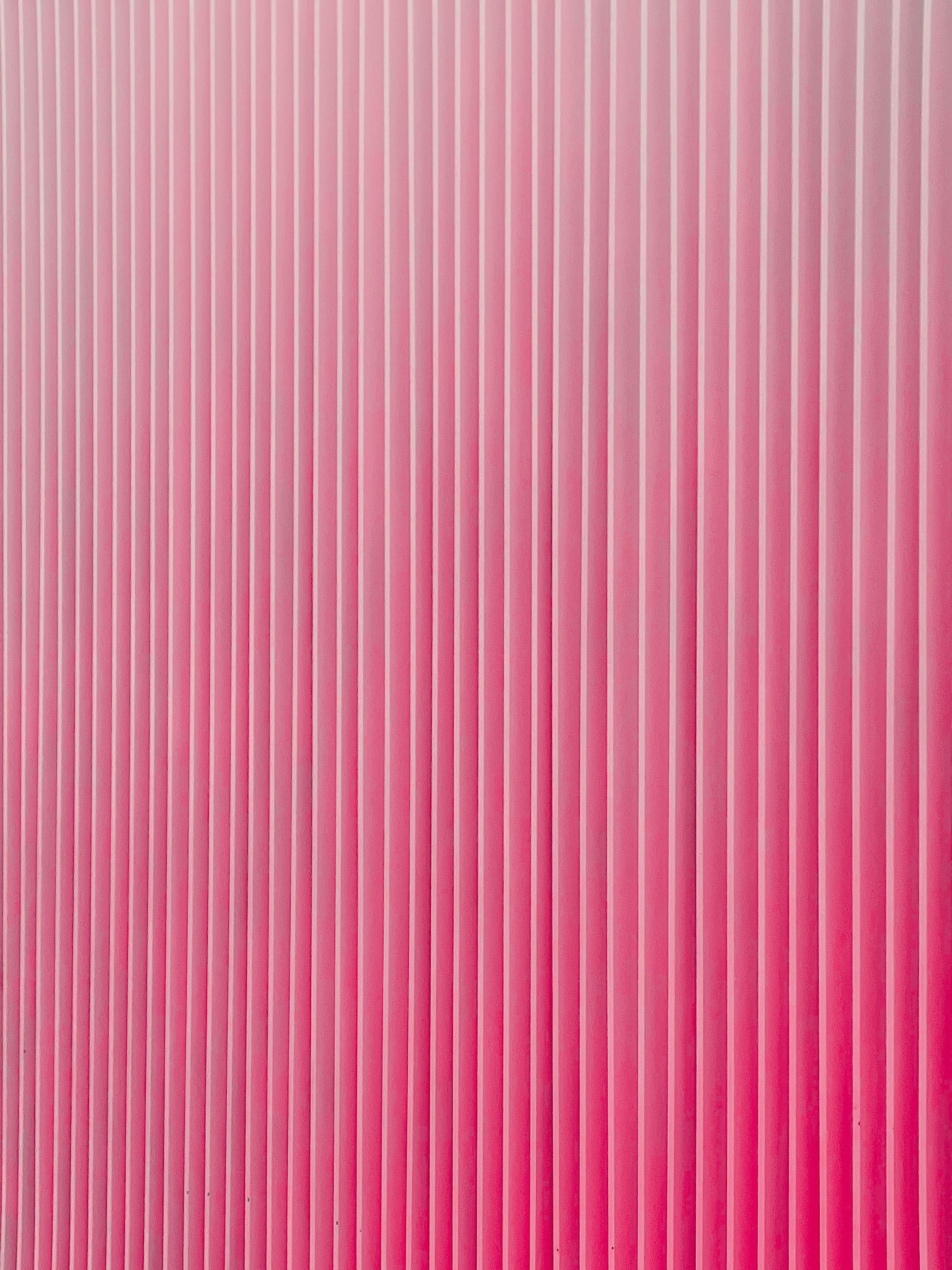 A Pink Wallpaper · Free Stock Photo