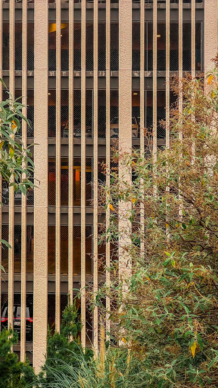 Modern Office Building Seen From Behind Trees