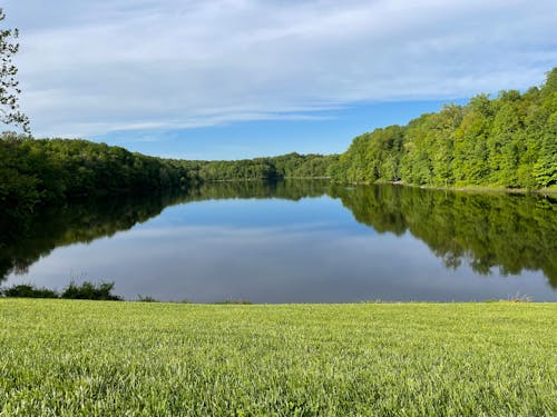 Kostnadsfri bild av grön, natur, park