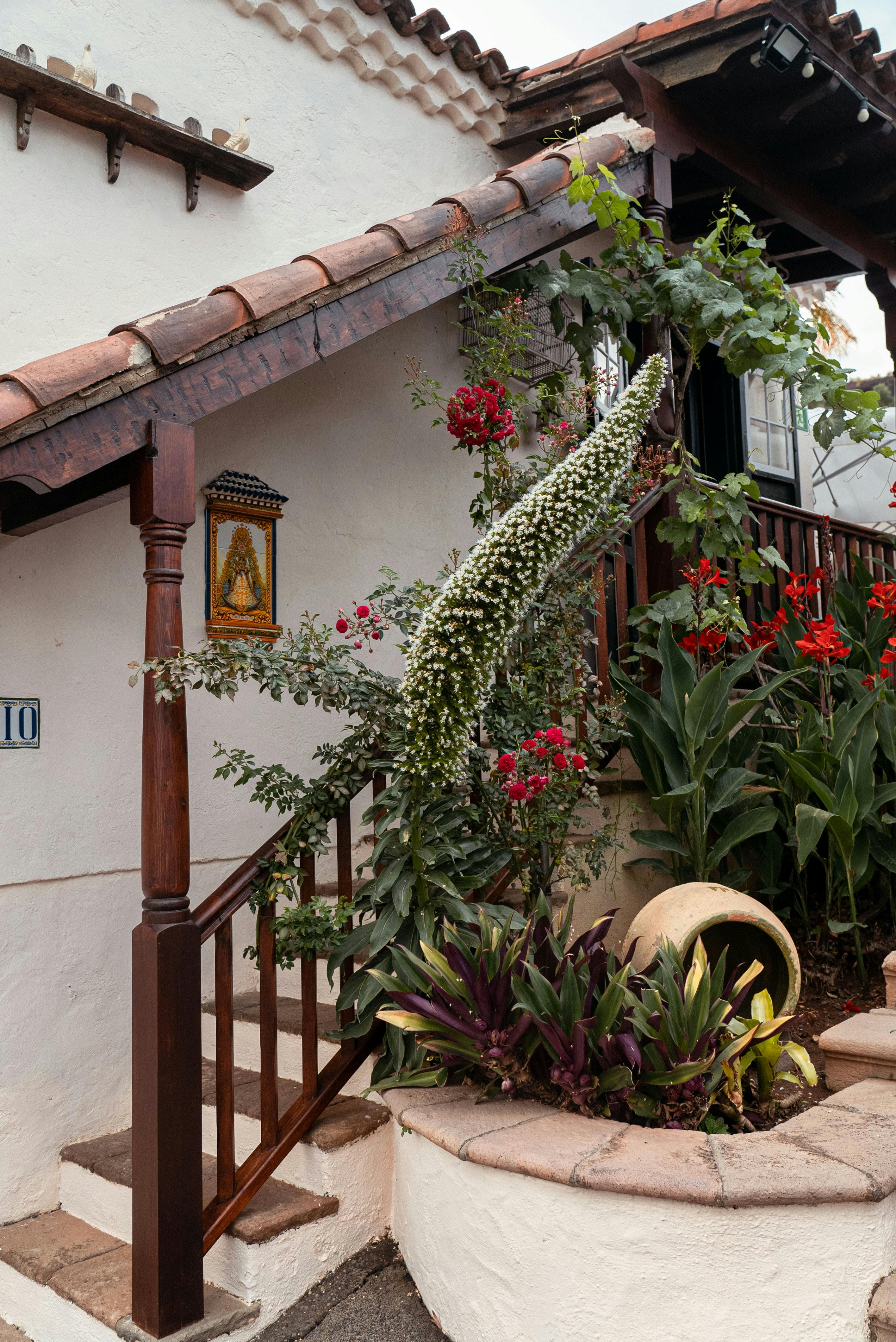 Gratuit Plante Lângă O Clădire Albă Fotografie de stoc