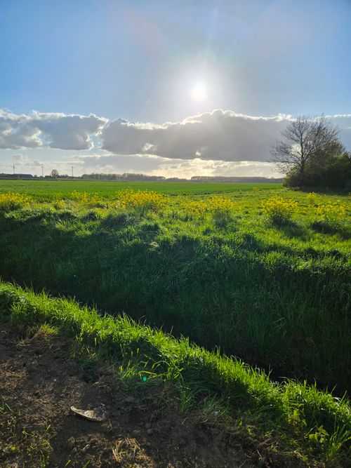 Free stock photo of clouds, green, landscape Stock Photo