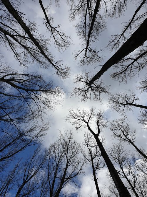 Free stock photo of blue, clouds, nature Stock Photo