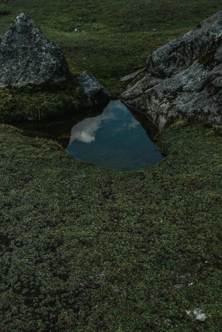 A Creek Between Rocks In Mountains 