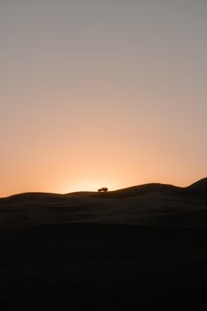 A serene desert landscape at sunset with a car silhouette on the dunes in Huacachina, Peru.