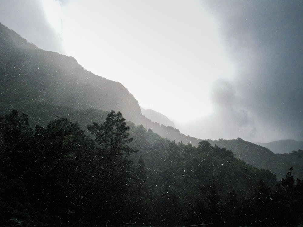 Free Landscape Photography of Mountain Range Covered in Trees Stock Photo