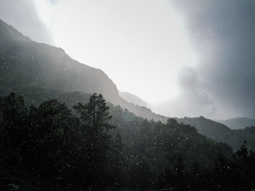 Chụp ảnh Phong Cảnh Dãy Núi được Bao Phủ Trong Cây