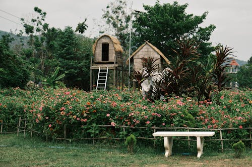 Photo of a Garden with a Flowerbed and Bungalows