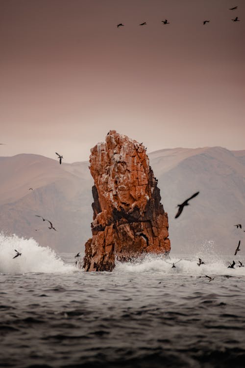 Birds Flying Around Rugged Rock Sticking Out of the Ocean
