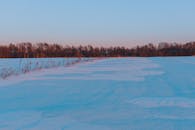 粉红色的黎明下，白雪覆盖的田野一片宁静，树木繁茂，尽显冬季的平静之美