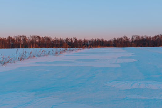 粉红色的黎明下，白雪覆盖的田野一片宁静，树木繁茂，尽显冬季的平静之美