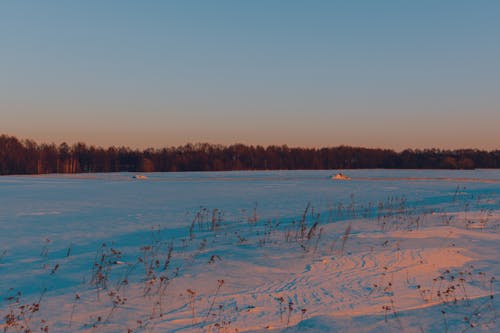 Снежное поле