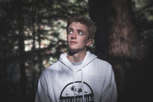 Free Pensive young man with blond hair looking up in a forest setting. Stock Photo