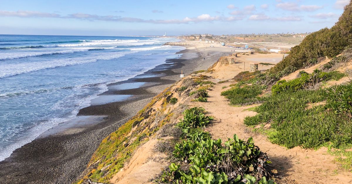 A stunning view of the Carlsbad coastline featuring vibrant greenery and waves.
