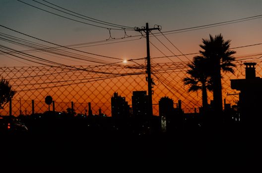 A dramatic urban sunset showcasing silhouettes of palm trees, power lines, and buildings.