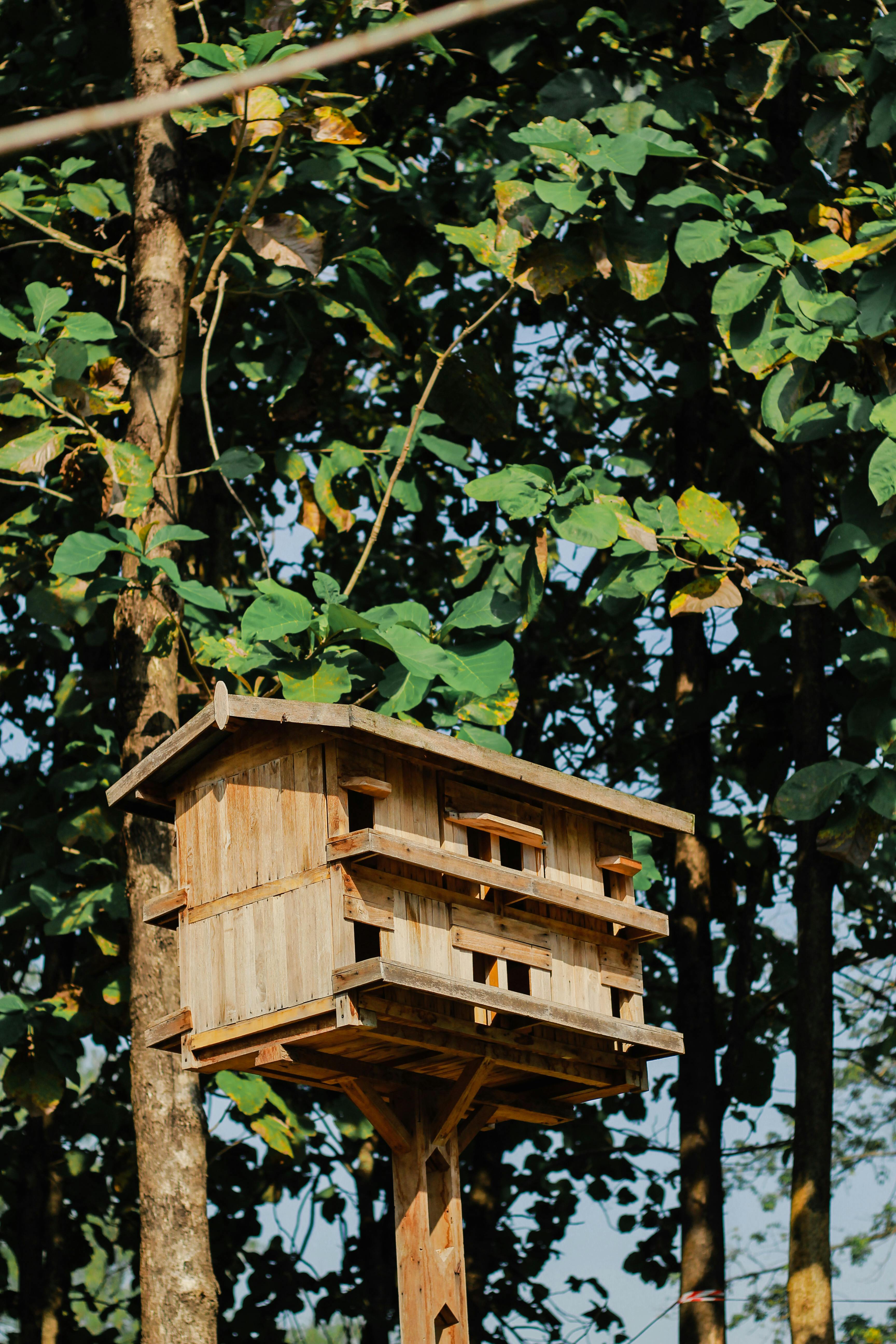 A rustic wooden birdhouse perched among lush green tree leaves in a natural forest setting.