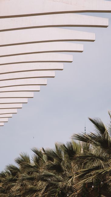 Futuristic geometric structure with palm trees under a clear blue sky in Málaga, Spain.