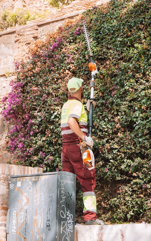 Man Cutting Ivy on Wall