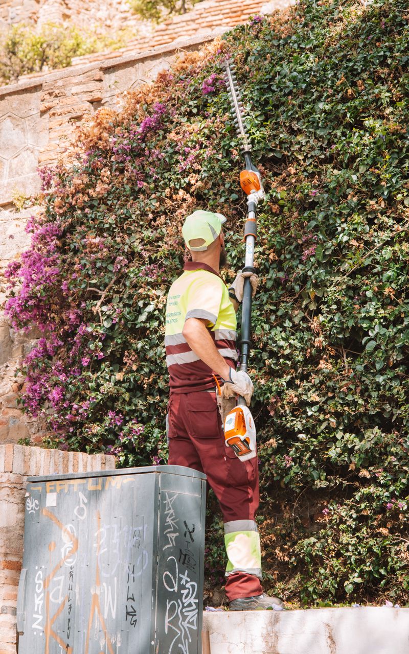 Landscaping Services