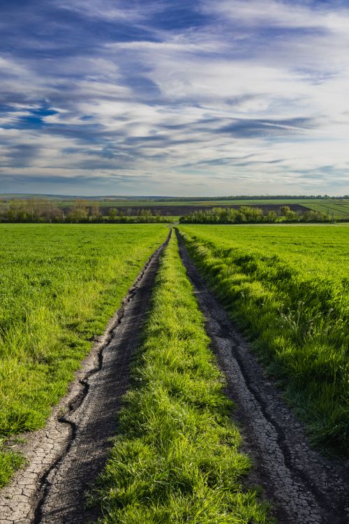 Free Scenic view of a countryside dirt road amidst green fields and a vibrant blue sky, perfect for nature lovers. Stock Photo