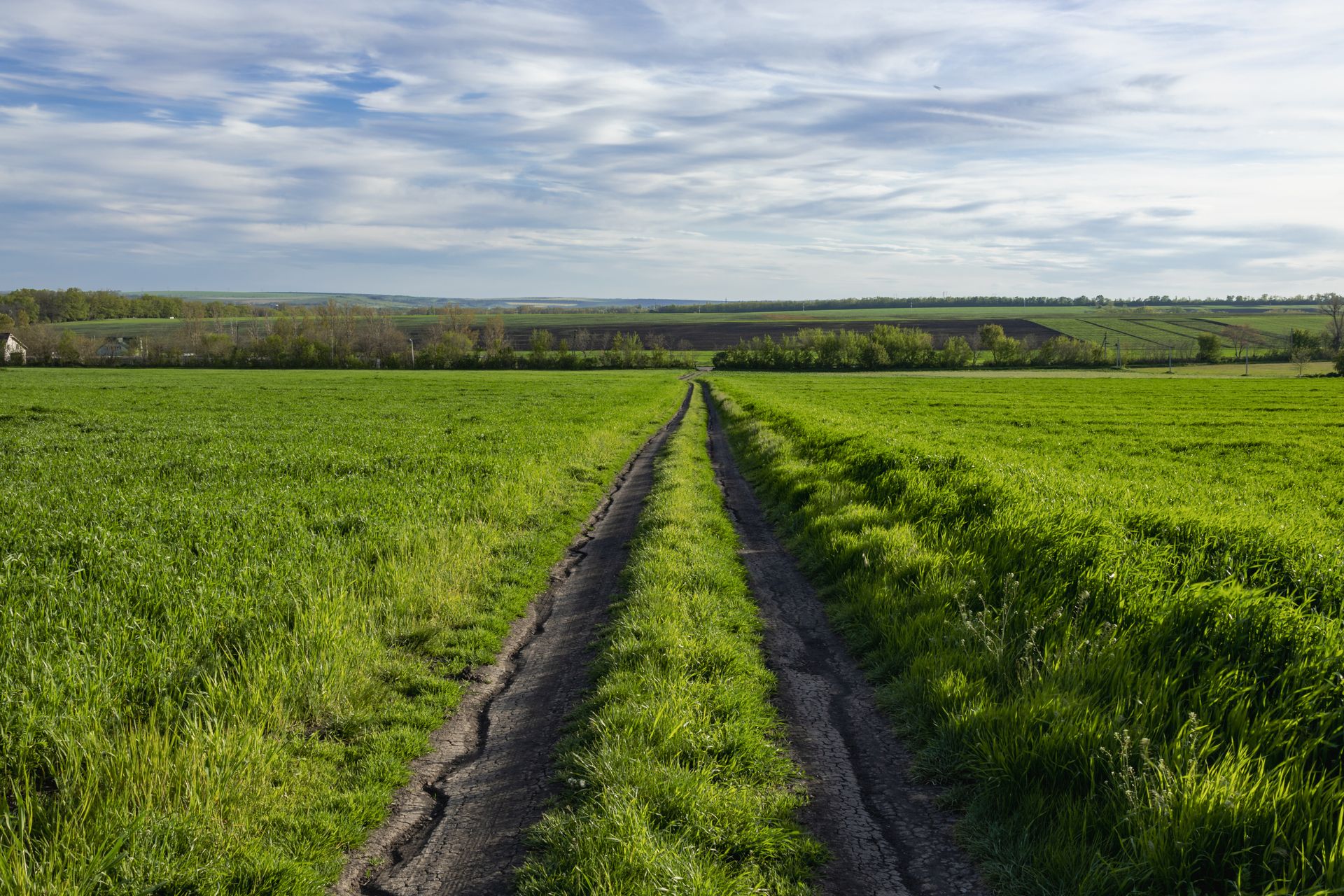 A picturesque rural road stretching through verdant fields under a partly cloudy sky.
