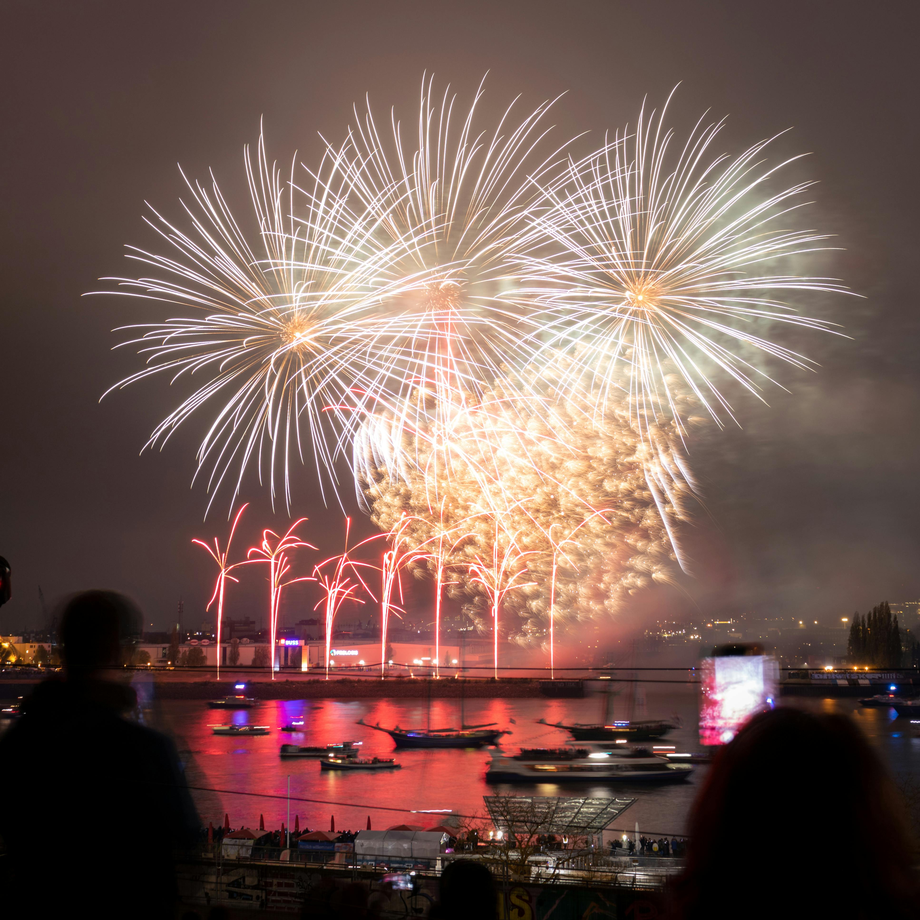 fireworks over the water with people watching