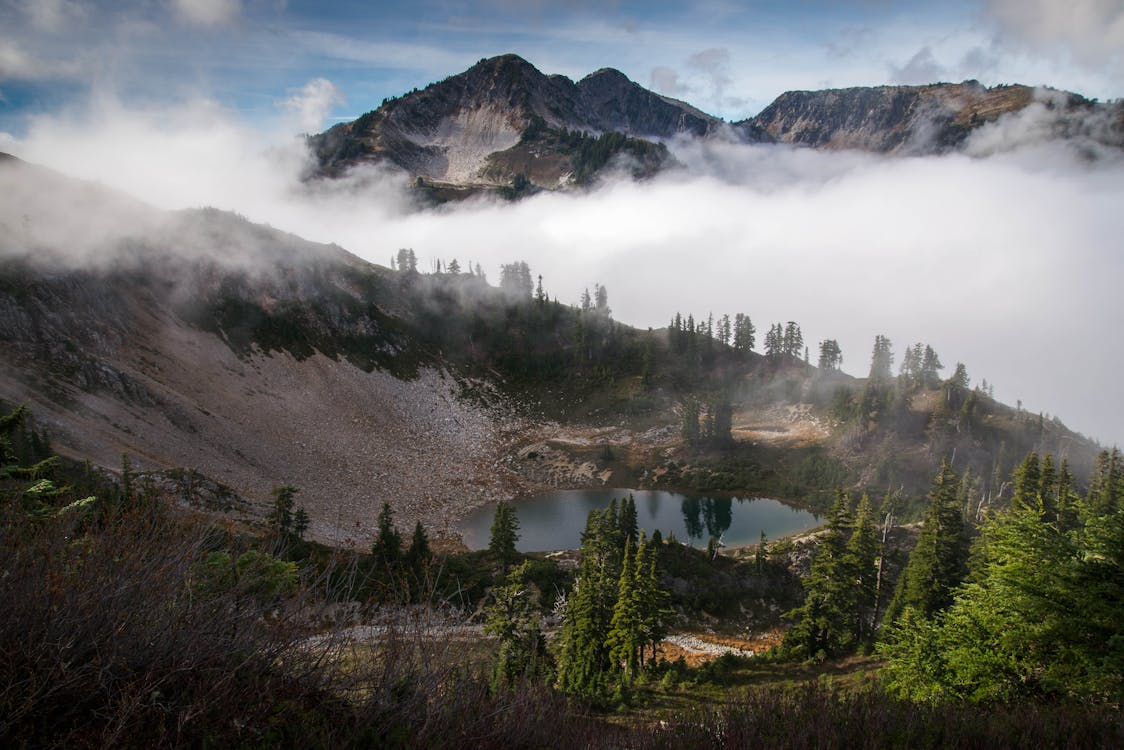 免費 樹木和雲層包圍湖的航拍 圖庫相片