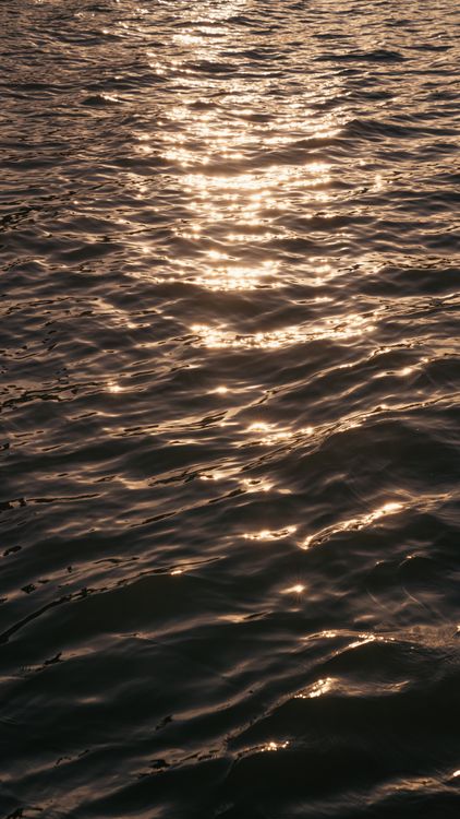 Sun Reflecting in Water Surface · Free Stock Photo