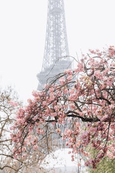 Stunning view of cherry blossoms against the iconic Eiffel Tower in a misty Paris spring setting.