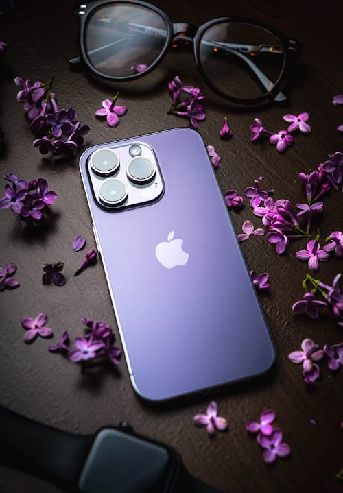 Fotos de stock gratuitas de apple, flores, gafas