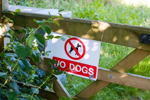 No Dogs Allowed Sign on a Fence 