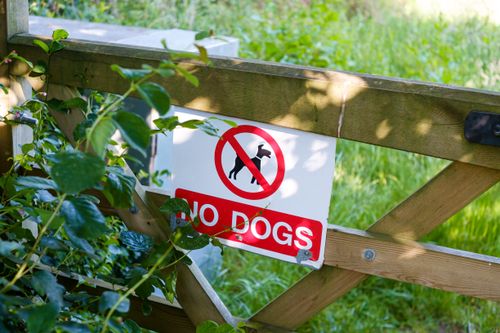 Free A bright sign on a wooden gate prohibits dogs in a scenic park in Greystoke, UK. Stock Photo