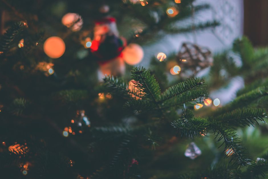 paw print tree decoration - Close-up of a beautifully decorated Christmas tree with glowing bokeh lights, capturing festive warmth.