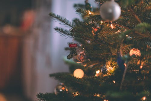 Macro Shot Photography of Christmas Stockings Ornament on a Christmas Tree