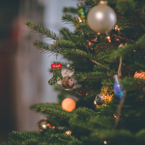 Gratis Fotografía De Primer Plano árbol De Navidad Foto de stock