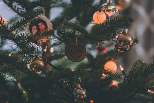 Nahaufnahme Fotografie Des Weihnachtsbaumes