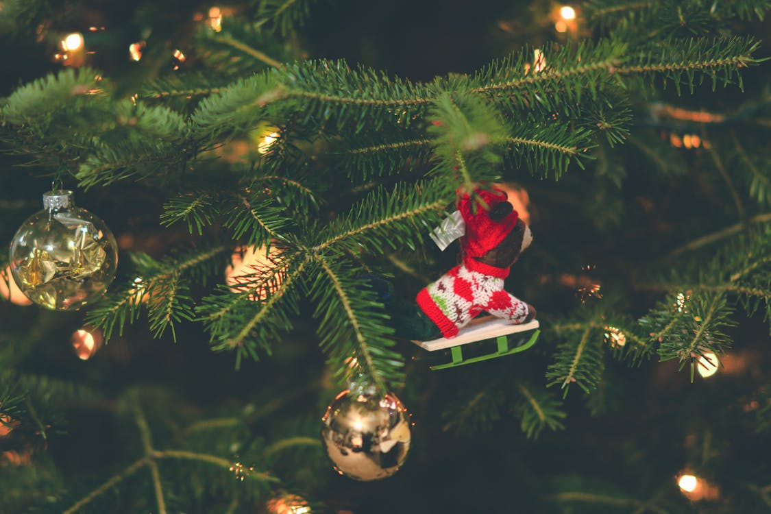 Shallow Focus Photography of Red and White Hanging Christmas Tree Decor