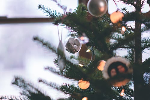 無料 灰色のクリスマスつまらないもののクローズアップ写真 写真素材