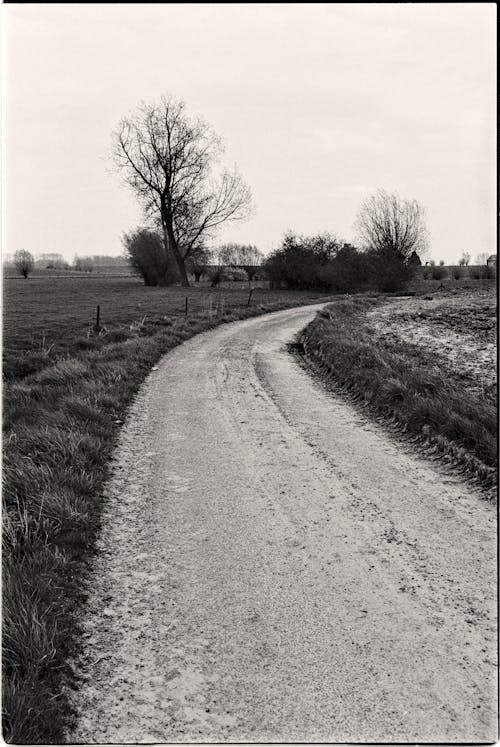 Black and White Photo of a Country Road 