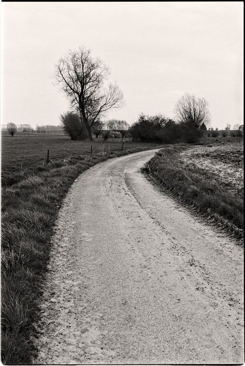 Free A peaceful countryside dirt road with distant trees in black and white. Stock Photo