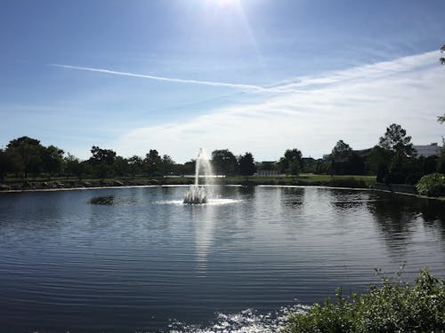 Free stock photo of blue sky, college, fountain